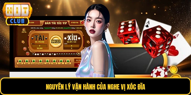 Nguyên lý vận hành của nghe vị xóc đĩa