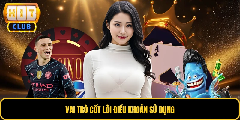 Vai trò cốt lõi điều khoản sử dụng